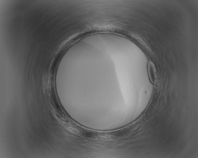 X0000082940583200702222249