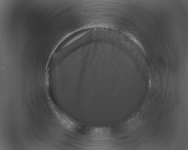 X0000082940584200702222249