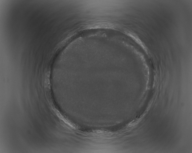 X0000082940585200702222249