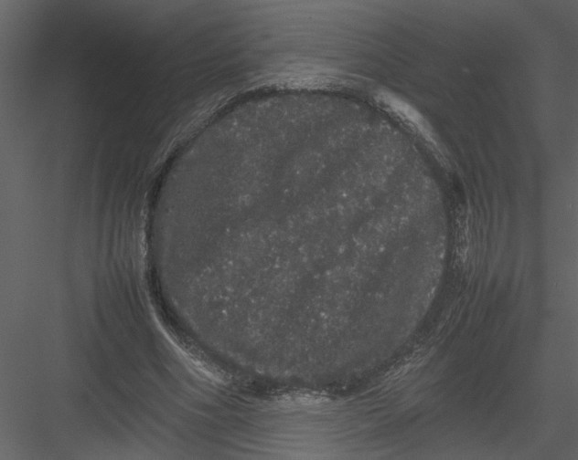 X0000082940586200702222249