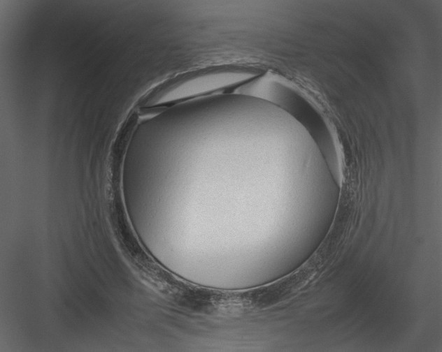 X0000082940587200702222249