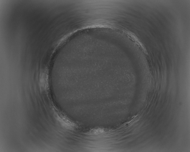 X0000082940588200702222249