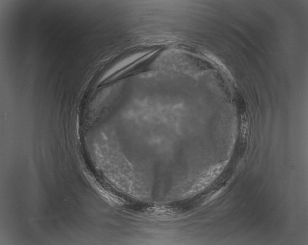 X0000082940589200702222249