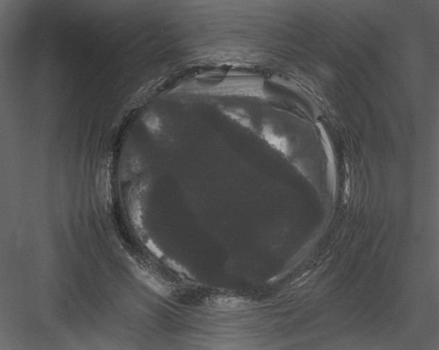 X0000082940590200702222249