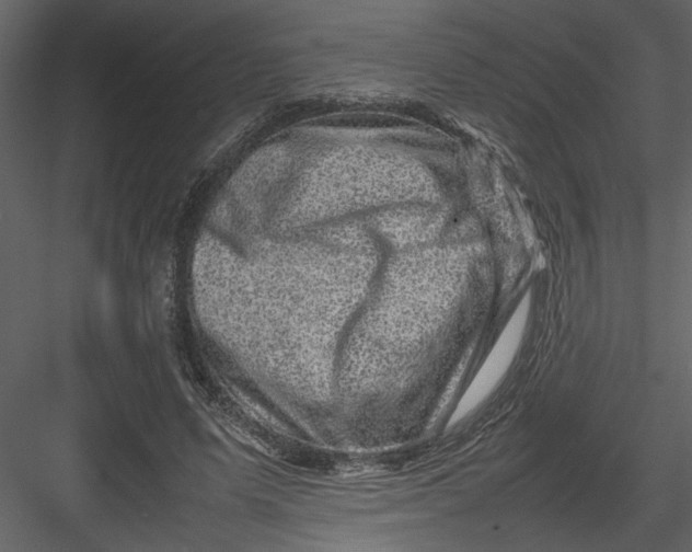 X0000082940591200702222249