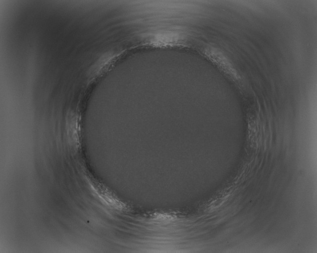 X0000082940592200702222249