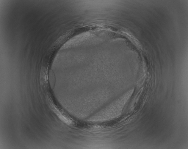 X0000082940593200702222249