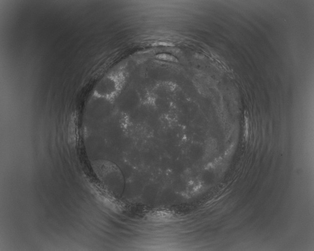 X0000082940594200702222249