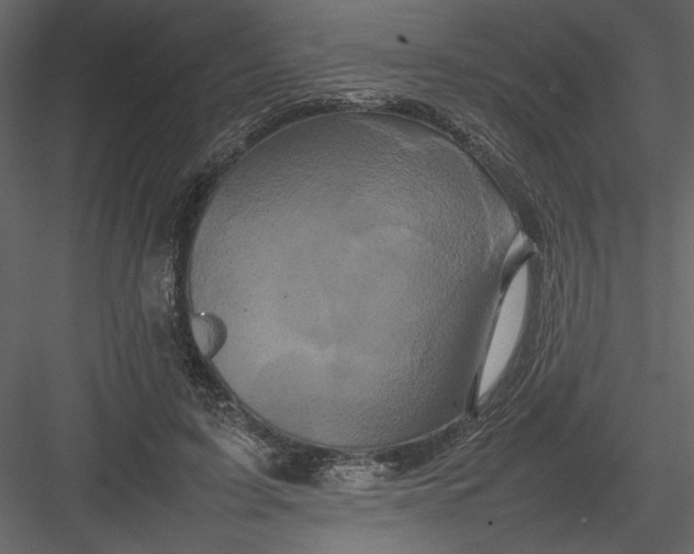 X0000082940595200702222249