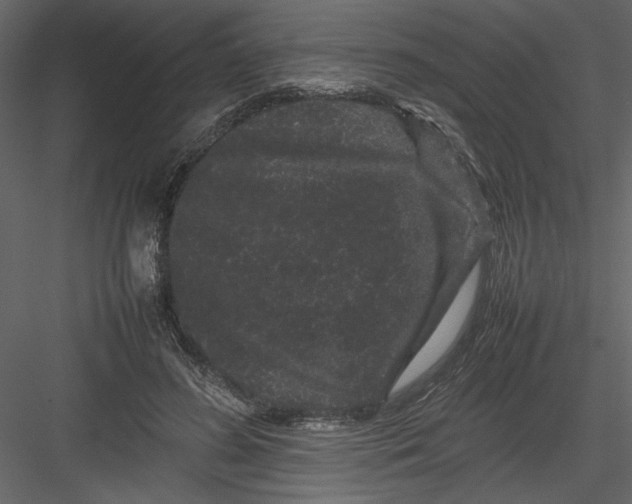 X0000082940596200702222249