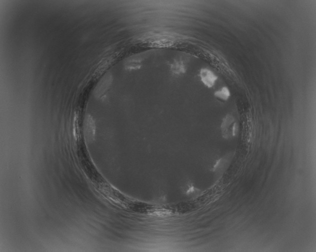 X0000082940598200702222249