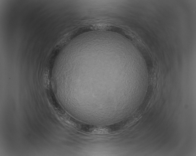 X0000082940599200702222249