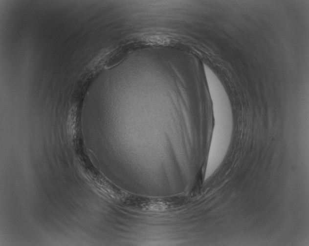 X0000082940600200702222249