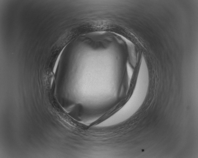 X0000082940601200702222249