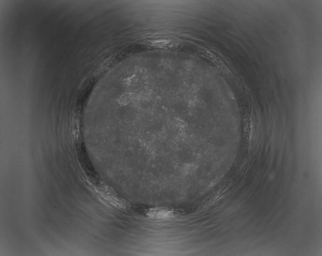 X0000082940602200702222249