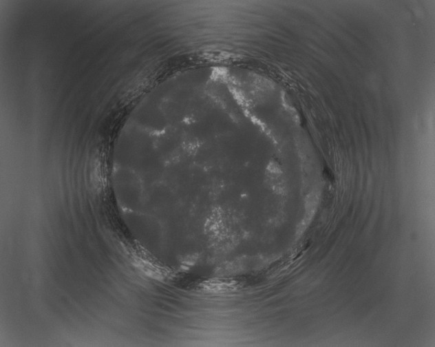 X0000082940606200702222249