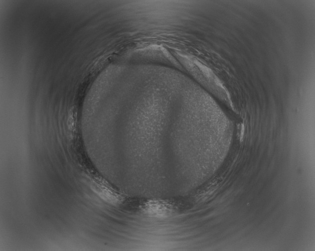 X0000082940608200702222248