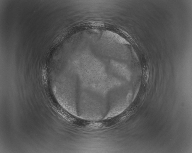 X0000082940609200702222248