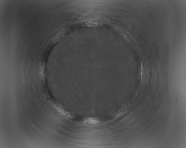 X0000082940610200702222248