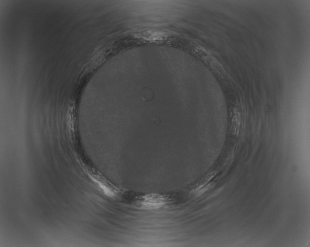 X0000082940612200702222248