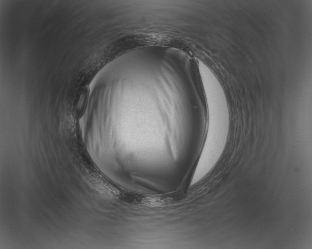 X0000082940613200702222248