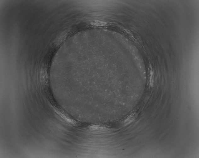 X0000082940614200702222248