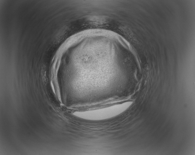 X0000082940615200702222248