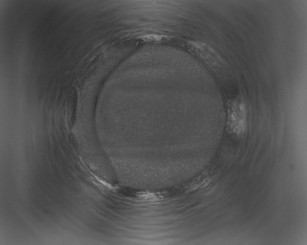 X0000082940616200702222248