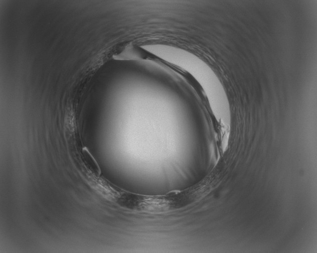 X0000082940617200702222248