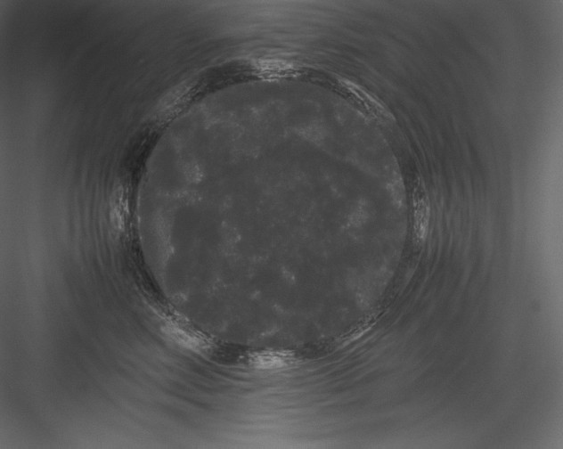 X0000082940618200702222248