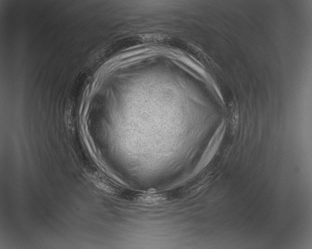 X0000082940619200702222248