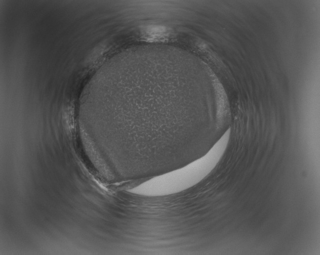 X0000082940620200702222248