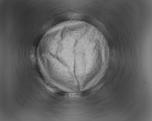 X0000082940622200702222248