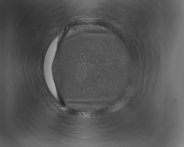 X0000082940624200702222248