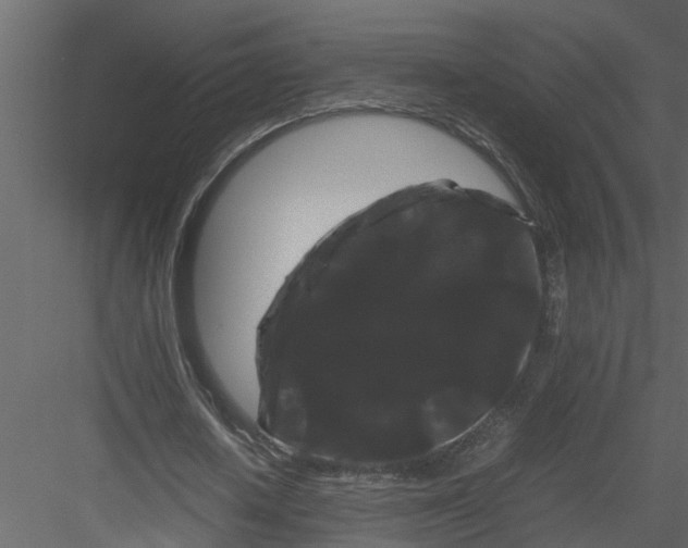 X0000082940626200702222247