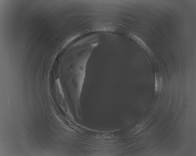 X0000082940627200702222247