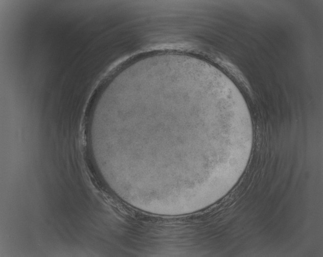 X0000082940628200702222247