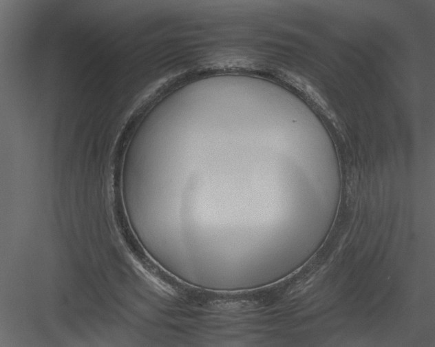 X0000082940629200702222247