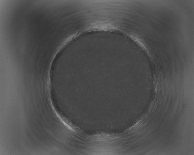 X0000082940630200702222247