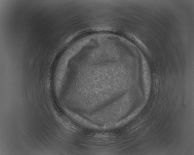 X0000082940631200702222247