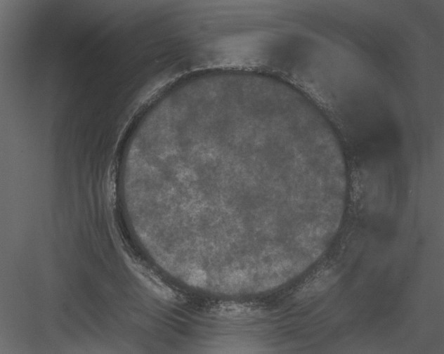 X0000082940632200702222247