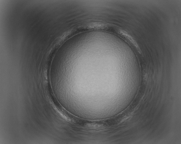 X0000082940633200702222248