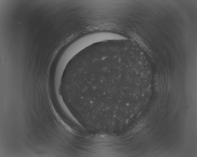 X0000082940634200702222248