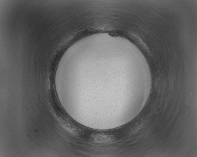 X0000082940635200702222248