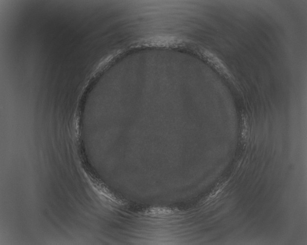 X0000082940636200702222248