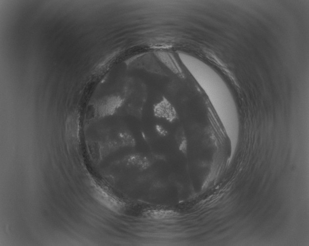 X0000082940637200702222248