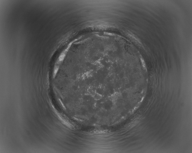 X0000082940638200702222248