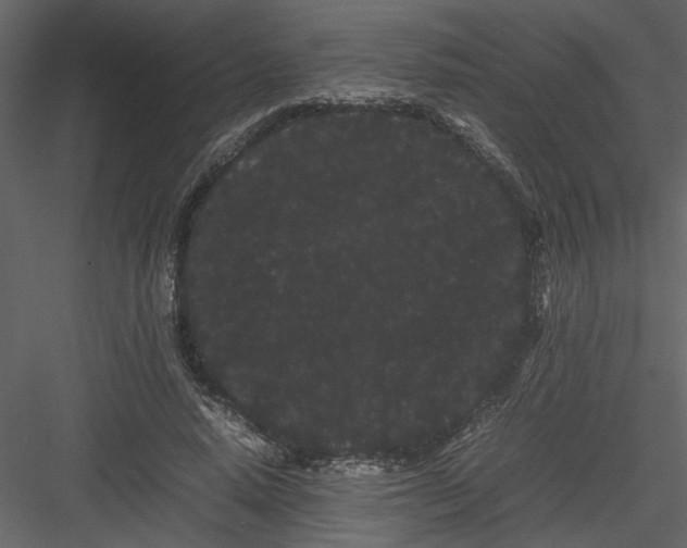 X0000082940640200702222248