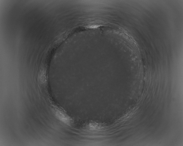 X0000082940641200702222248