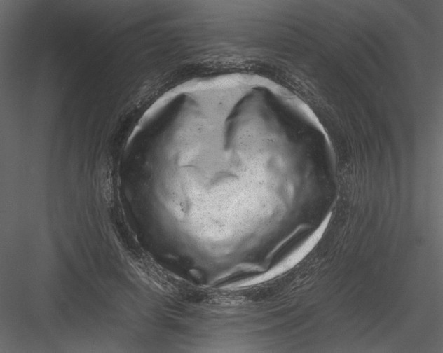 X0000082940642200702222248